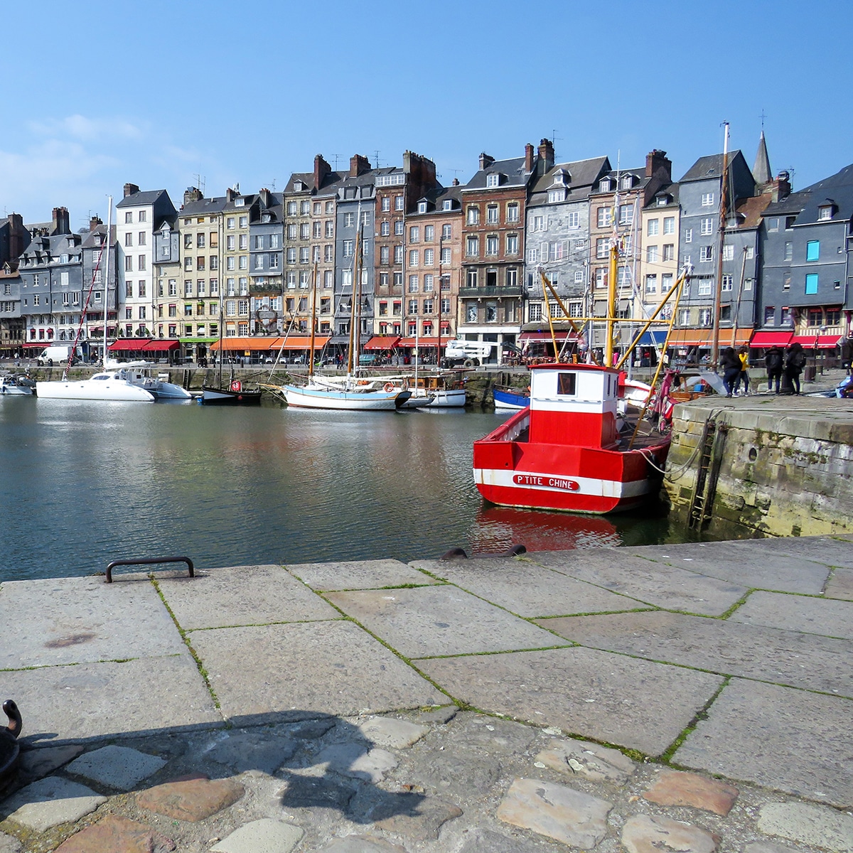 Panda Motion Honfleur square