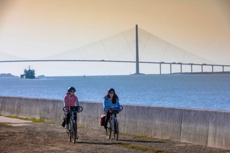 Panda Motion velo pont normandie